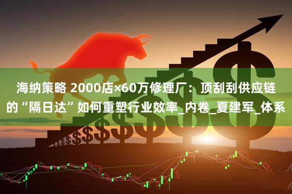 海纳策略 2000店×60万修理厂：顶刮刮供应链的“隔日达”如何重塑行业效率_内卷_夏建军_体系