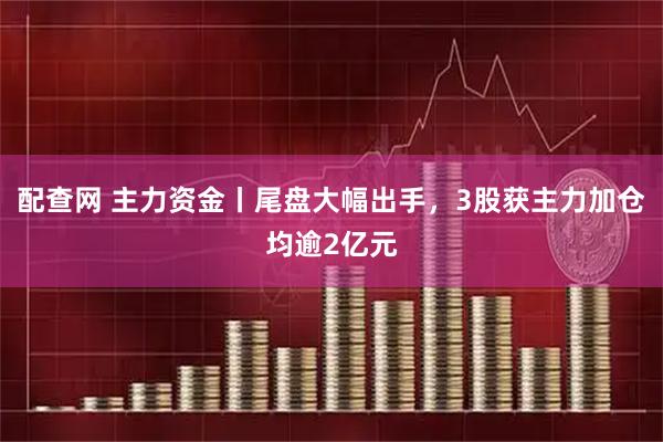 配查网 主力资金丨尾盘大幅出手，3股获主力加仓均逾2亿元