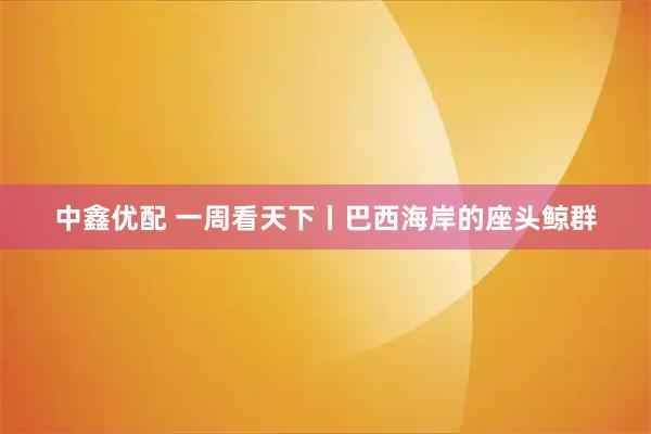 中鑫优配 一周看天下丨巴西海岸的座头鲸群